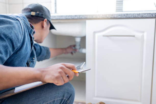Best Leak Detection Services  in Hlside, IL
