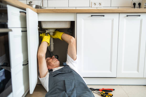 Best Plumbing Installation Services  in Hlside, IL