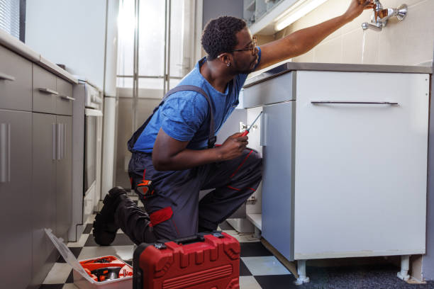 Best Local Plumber Services  in Hlside, IL
