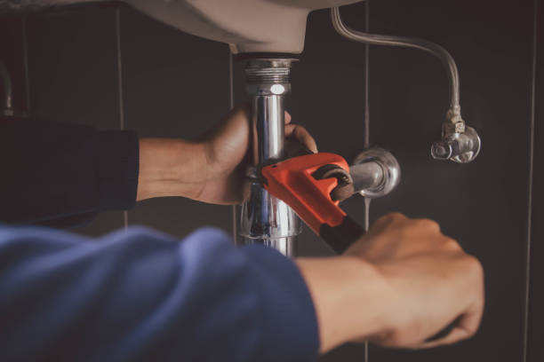 Best Plumbing Inspection Services  in Hlside, IL